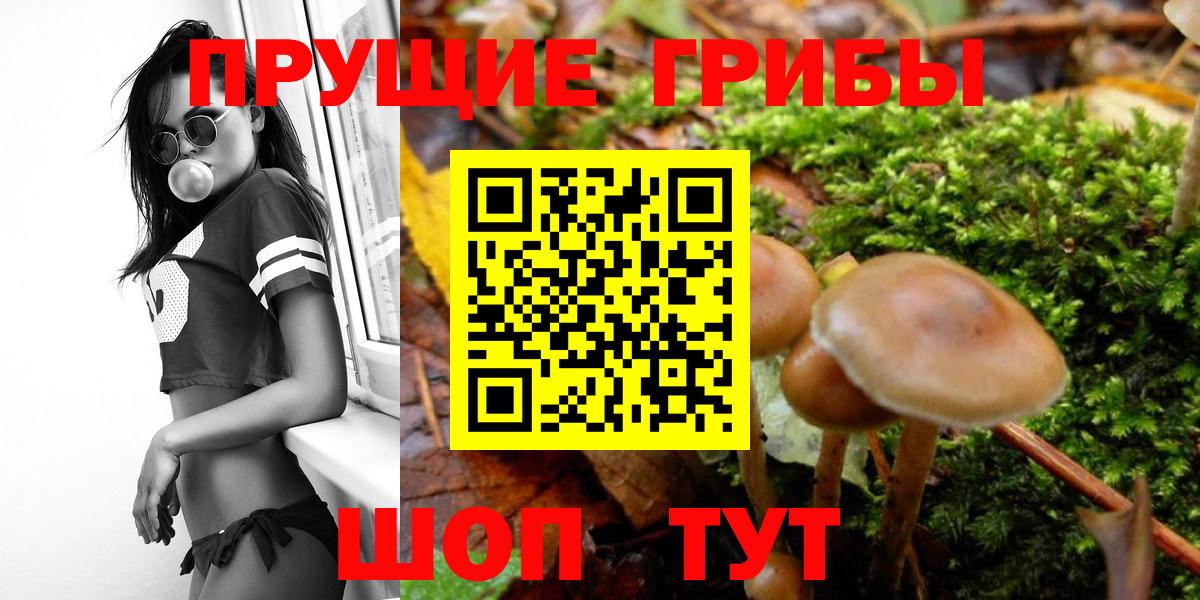 Галлюциногенные грибы Magic Shrooms Лосино-Петровский