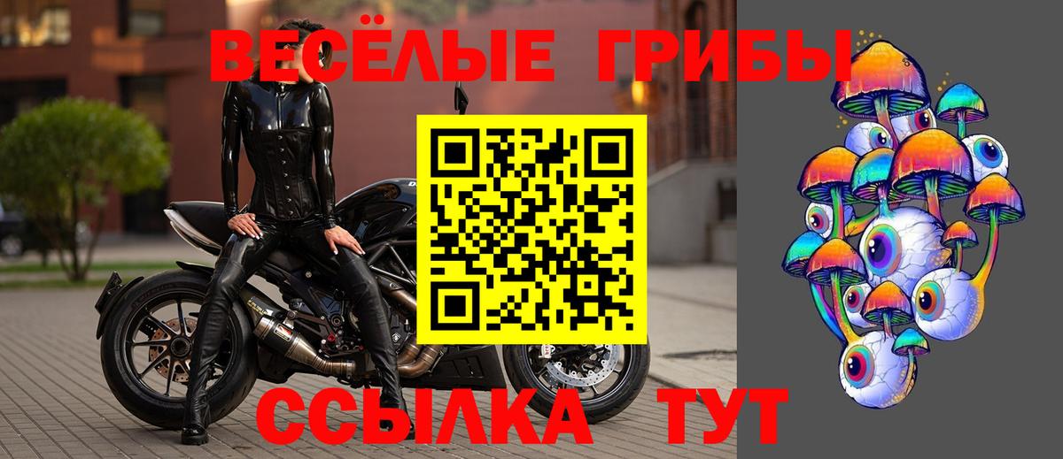Псилоцибиновые грибы GOLDEN TEACHER  Вход с VPN  Лосино-Петровский  Галлюциногенные грибы Magic Shrooms 